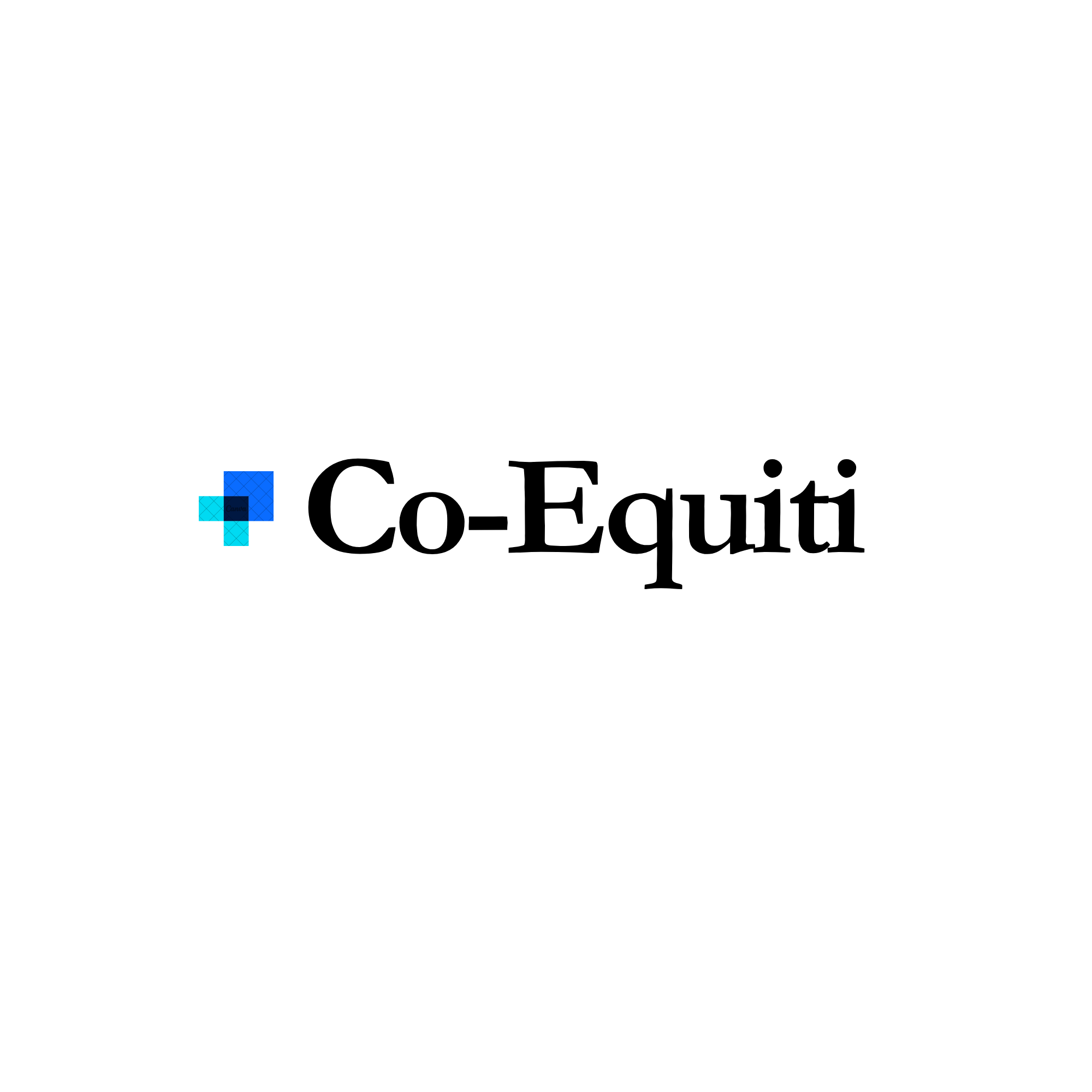 Co-Equiti